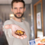 Moelleux aux pépites de chocolat
