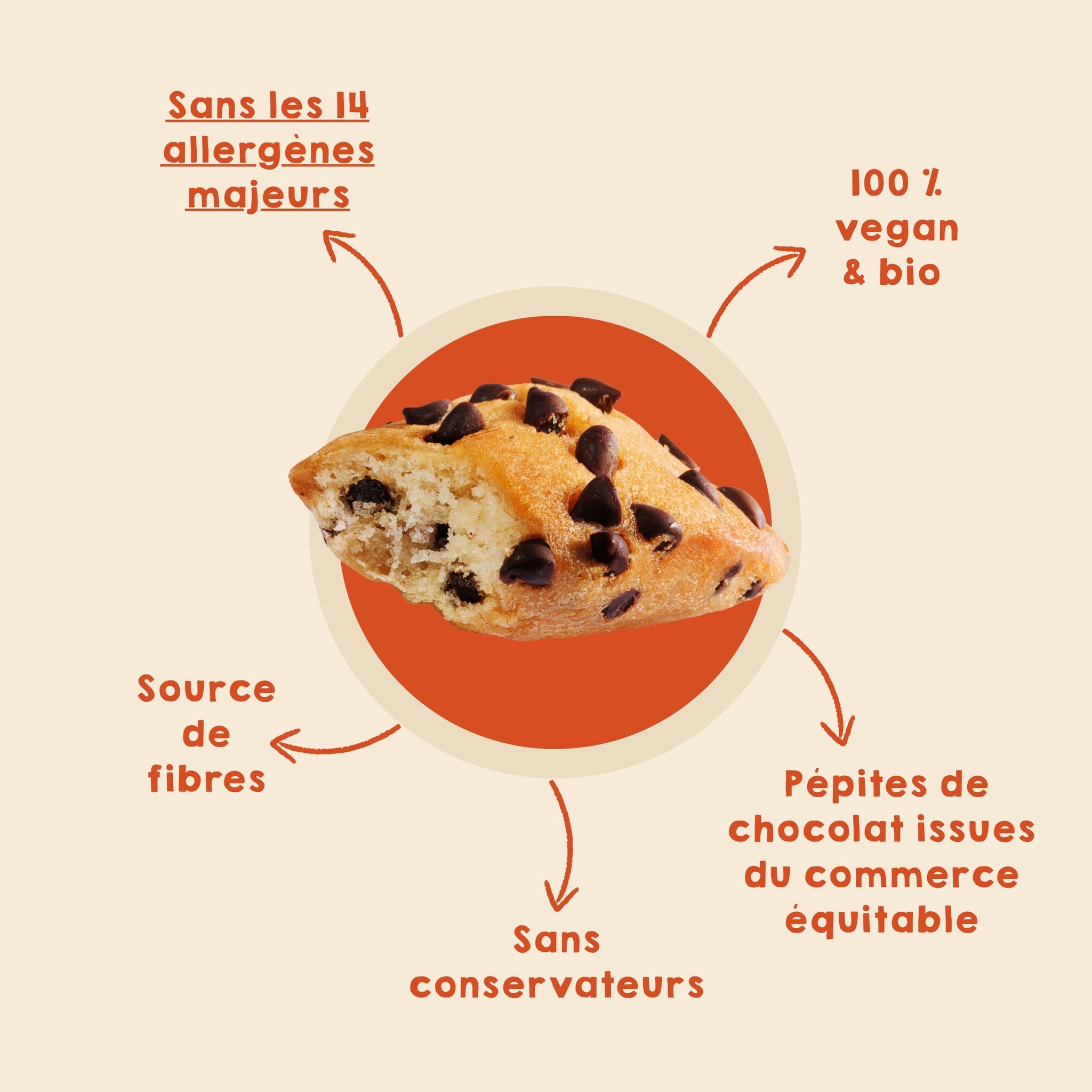 Moelleux aux pépites de chocolat