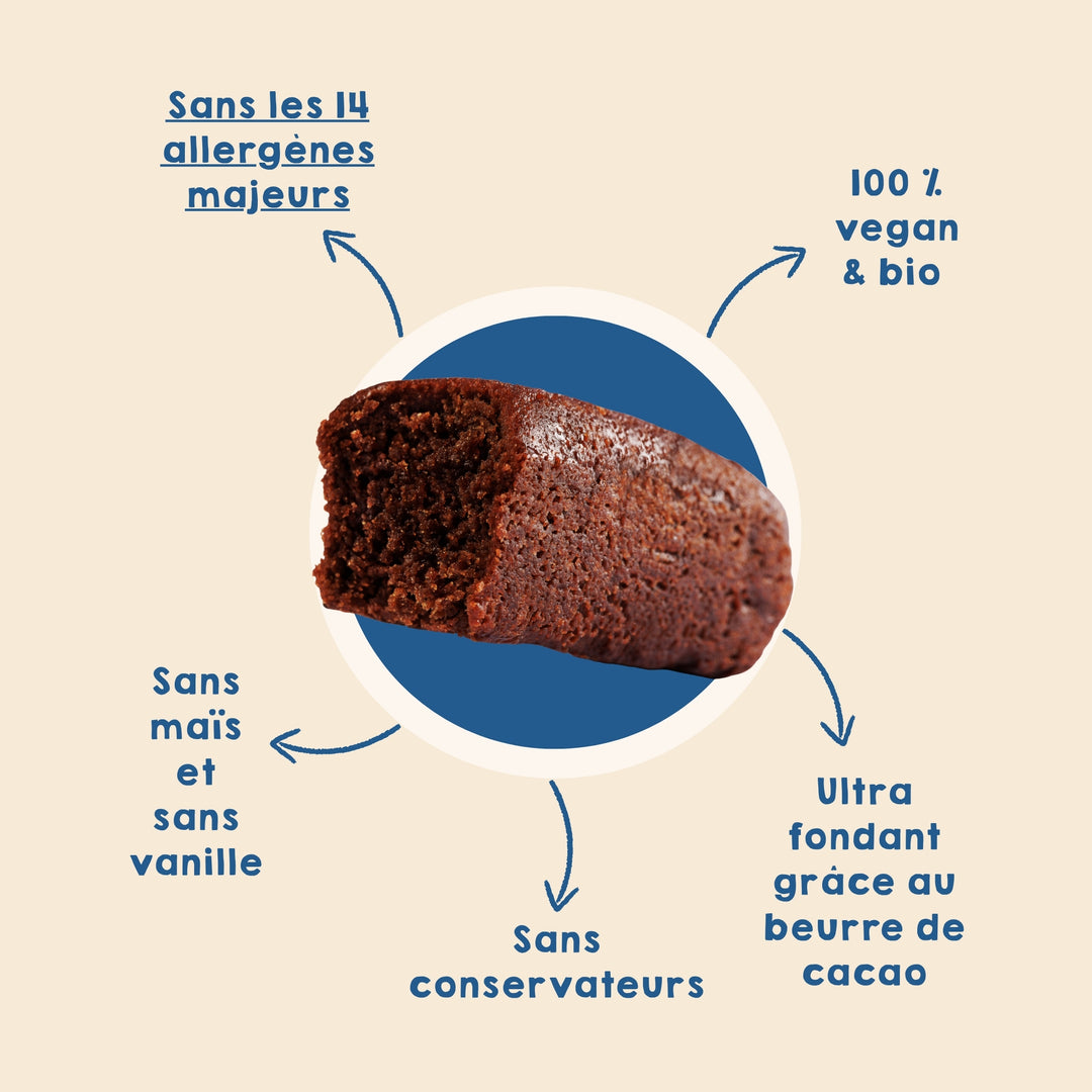 Brownie tout chocolat