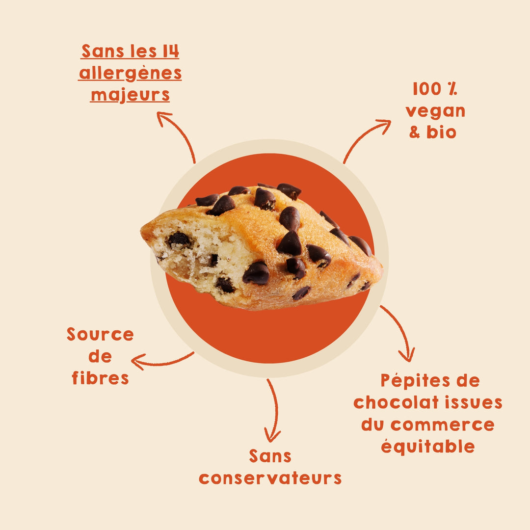 Moelleux aux pépites de chocolat